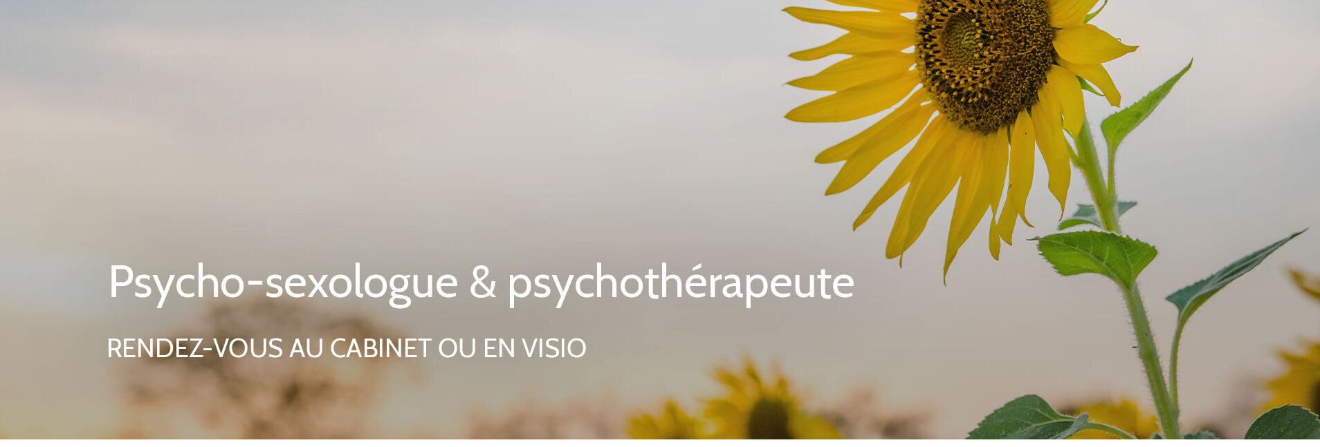 Diapo_3 Thérapeute psychosexologue Bordeaux